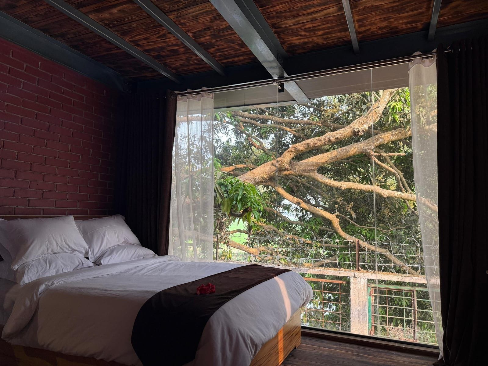 Emerald Suite — photo 5