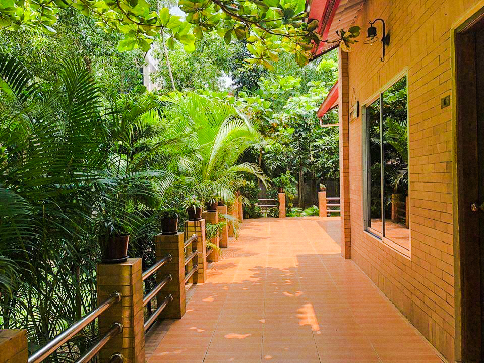 124206787_3362674463820173_3041829293706220337_n_edited